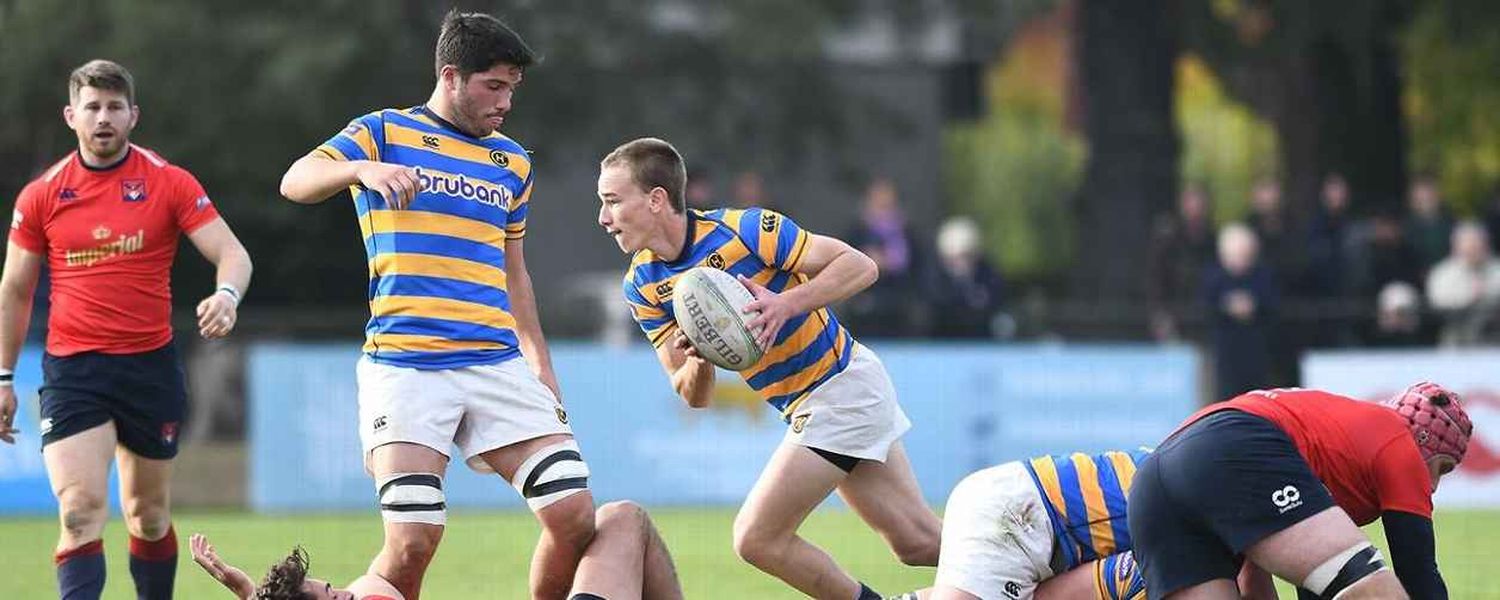 Hindú y Newman, clasificados