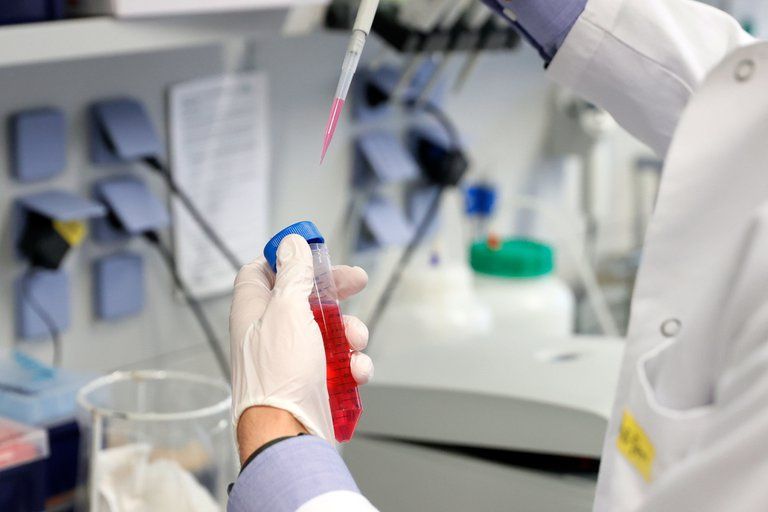 La OMS vaticinó que habrá millones de dosis de una vacuna a fin de año