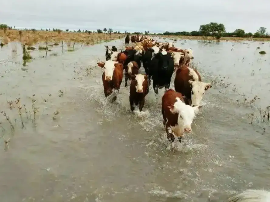 El Niño podría intensificarse y anticipan lluvias muy por encima de lo normal en Buenos Aires