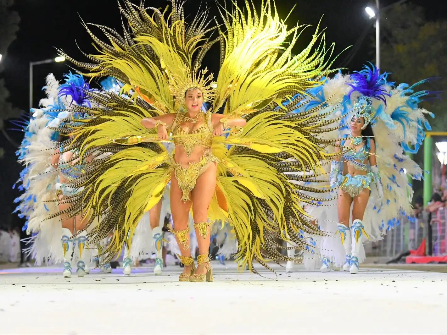 Jarzynski: “Más de 30 mil personas han visitado el corsódromo de Ibarreta durante las tres noches”