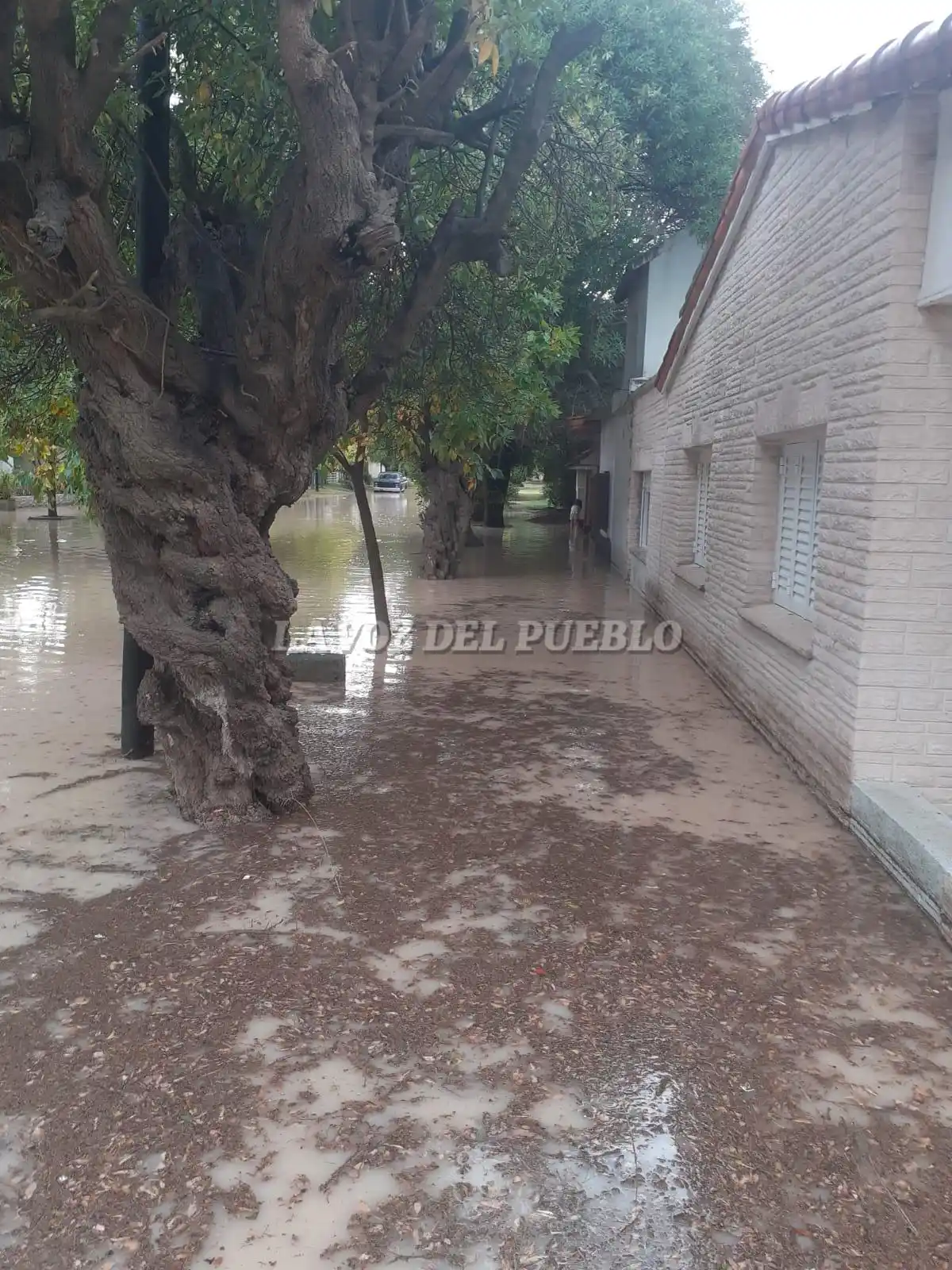 LLUVIA - 3