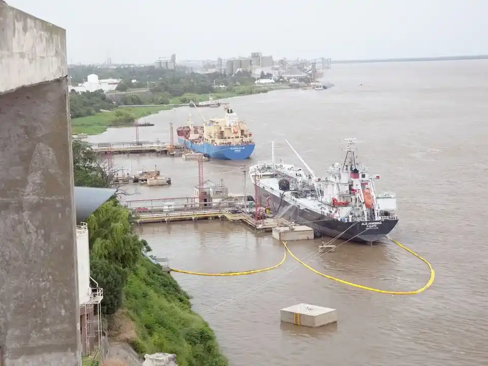 Sube 11 % el volumen de exportación de productos agroindustriales según información oficial