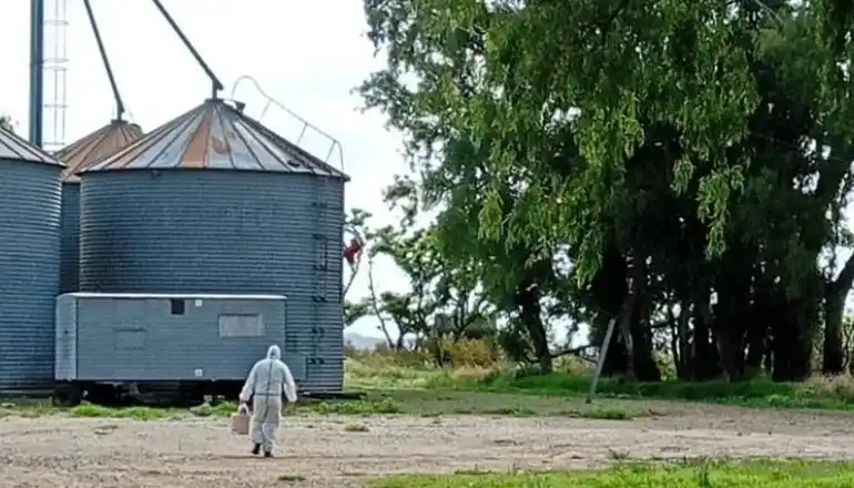 Saladillo confirmó un caso positivo de hantavirus: el afectado es un trabajador rural