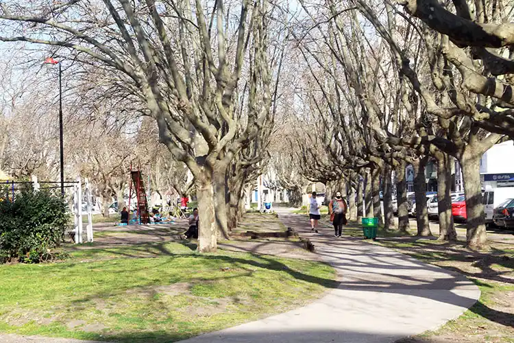 Un vecino pidió poner una placa en memoria de los fallecidos por Covid en Necochea