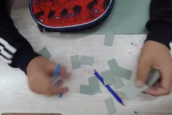 Alumnos santafesinos crean pastillas naturales para repeler mosquitos y combatir el dengue