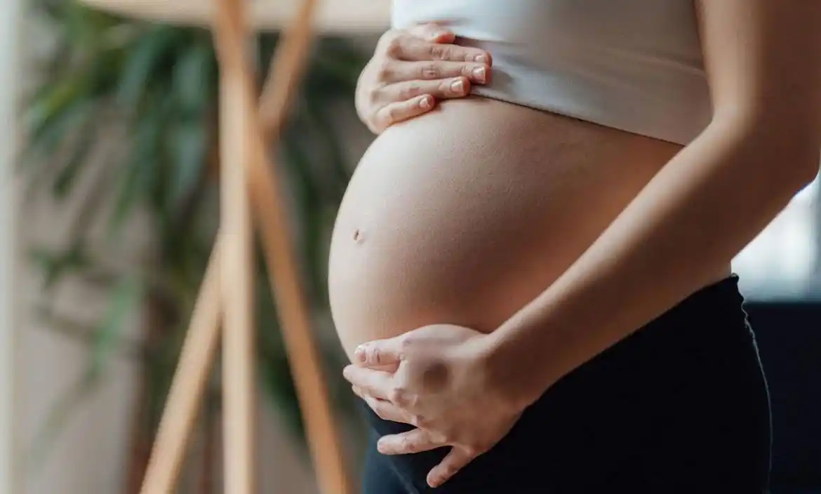 Pilar registra su nivel más bajo de nacimientos de los últimos años