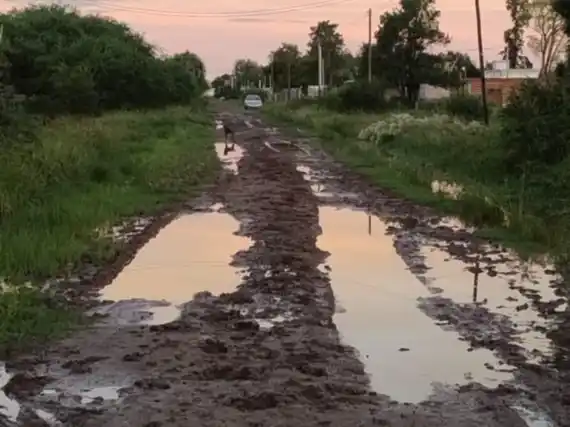Todos los detalles del proyecto de declaración de emergencia vial