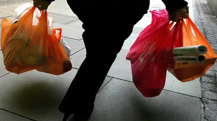 Bahía Blanca: A partir del 2 de marzo ya no entregarán bolsas camiseta