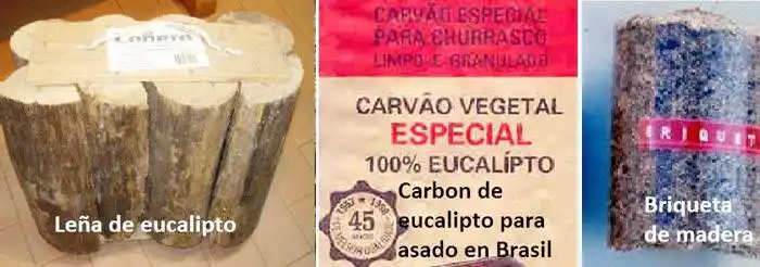 Asado: leña vs carbón, vs briqueta