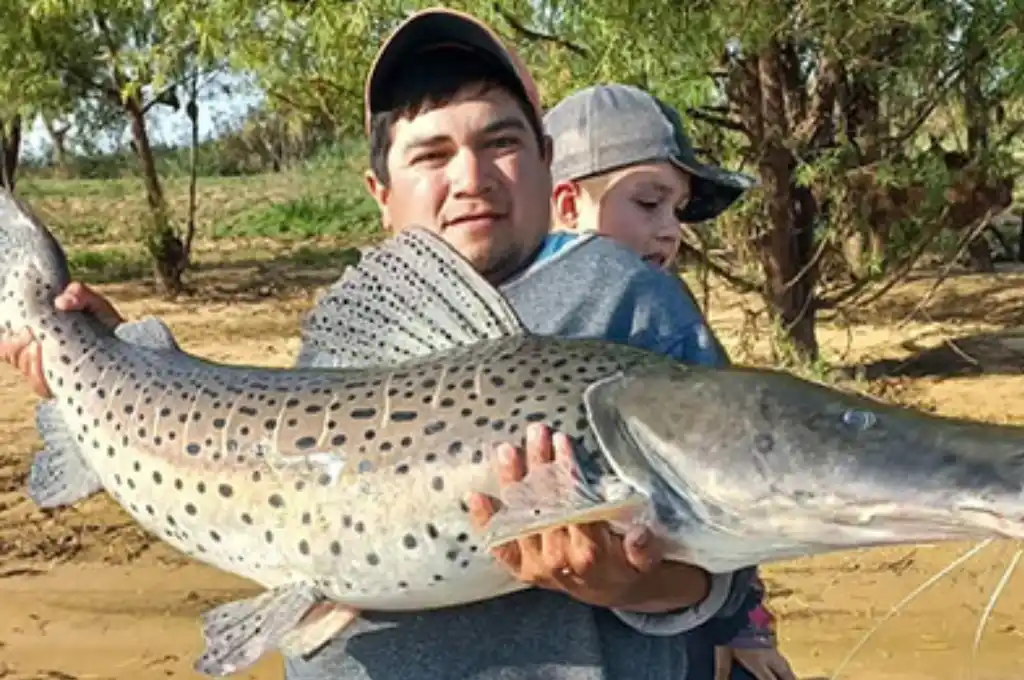 El pez fue devuelto al río