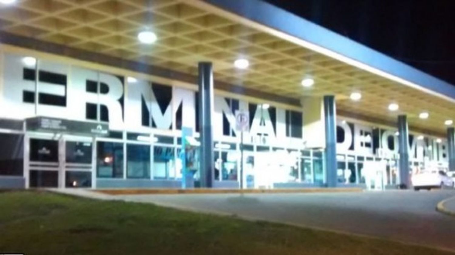 Tandil: Encontraron una serpiente en un micro en la Terminal