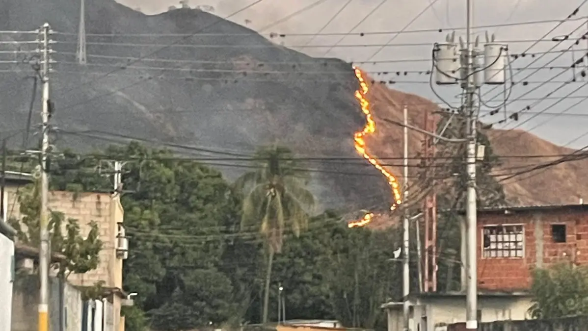 Incendio forestal de gran magnitud consume parte del Parque Nacional Henri Pittier