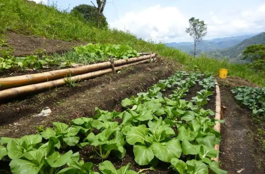Impulsan la Agroecología, un modo de trabajo que busca recuperar la salud de los campos