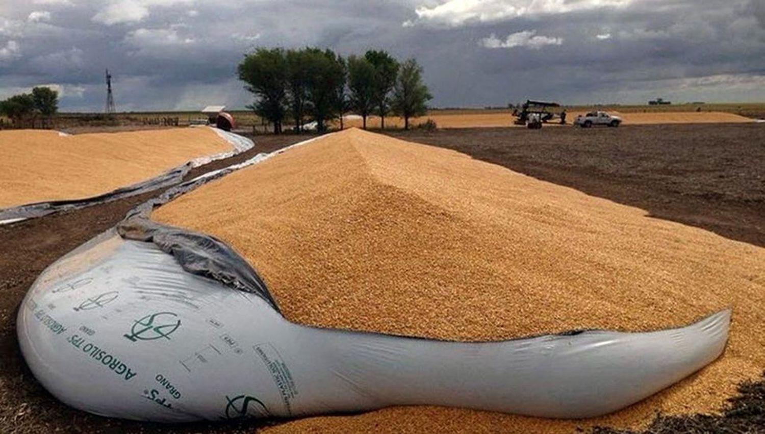 Chacabuco: Confederación rural convocó a “reunión zonal” por roturas de silobolsas en la Provincia 