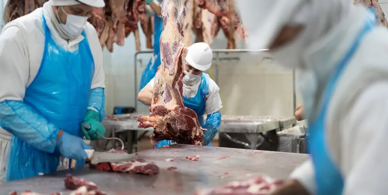 En los primeros once meses del año, el consumo aparente de carne vacuna creció 3,4% interanual.