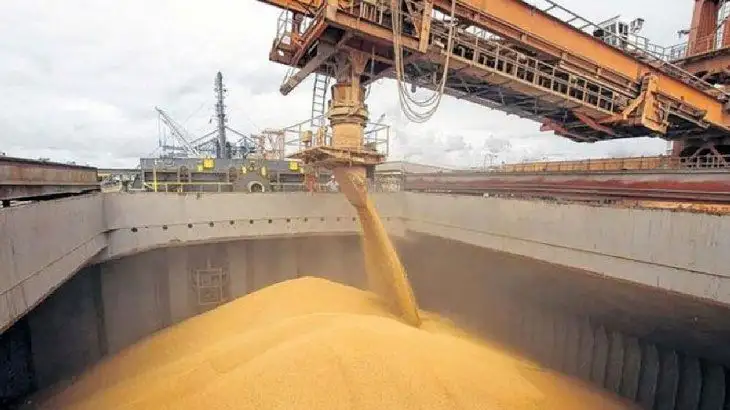 Liquidaciones récord de la agroindustria en febrero