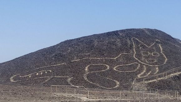 GATO DE NAZCA: nueva figura de las líneas arquelógicas