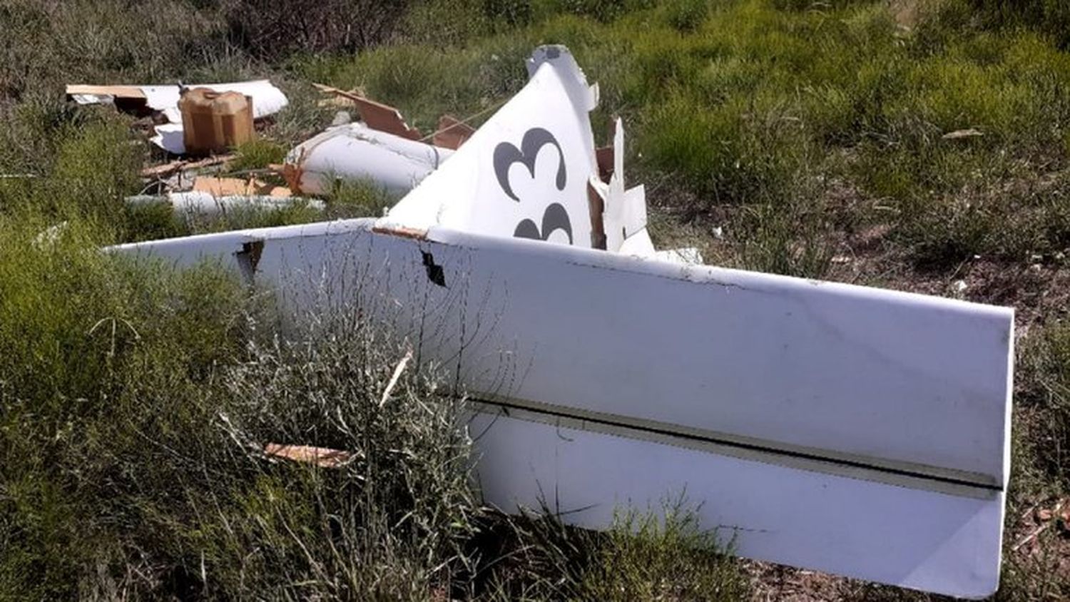 Se estrelló la avioneta del ex guitarrista de “Díos salve a la reina”