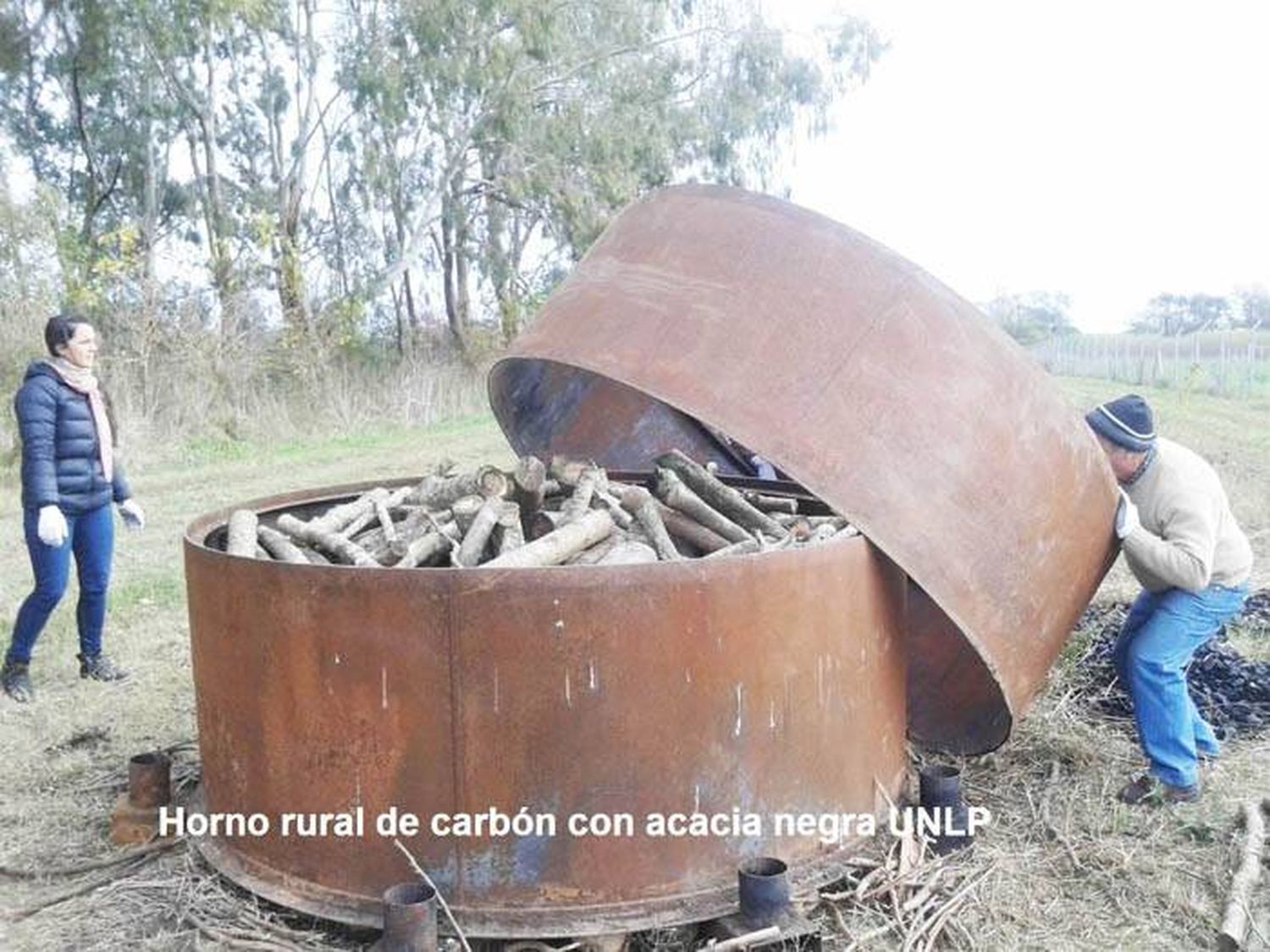 LA ACACIA NEGRA, PROBLEMA U OPORTUNIDAD PARA EL CAMPO?