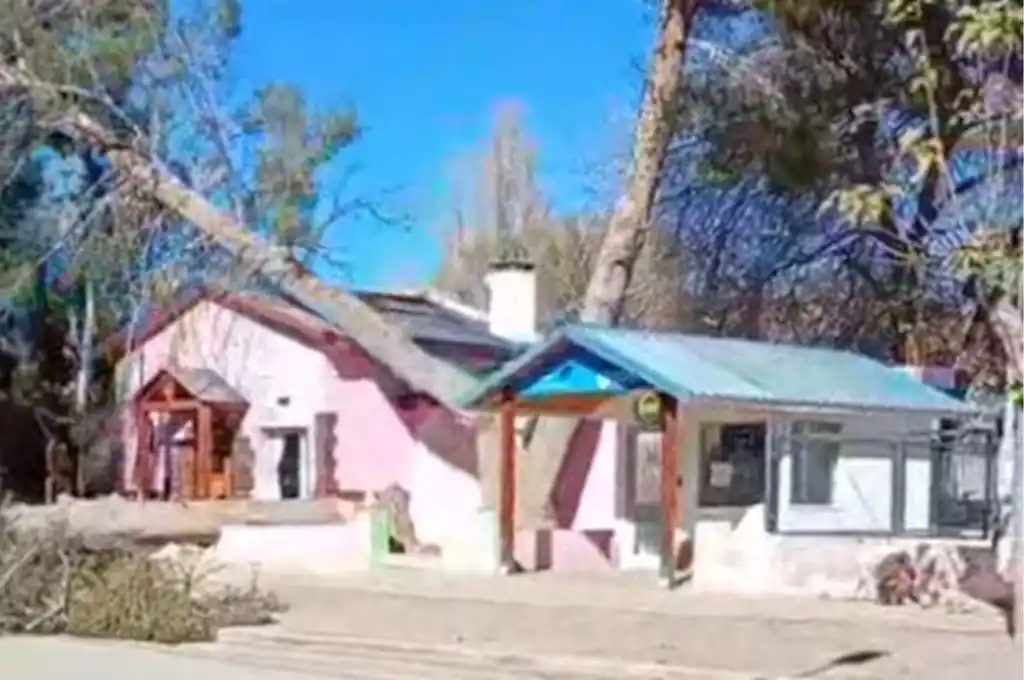 Un árbol cayó sobre la Municipalidad de Bajada del Agrio