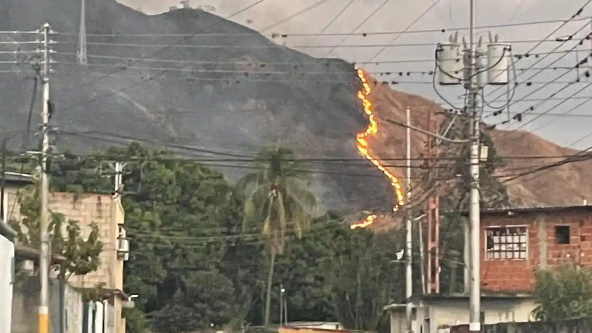 Incendio forestal de gran magnitud consume parte del Parque Nacional Henri Pittier