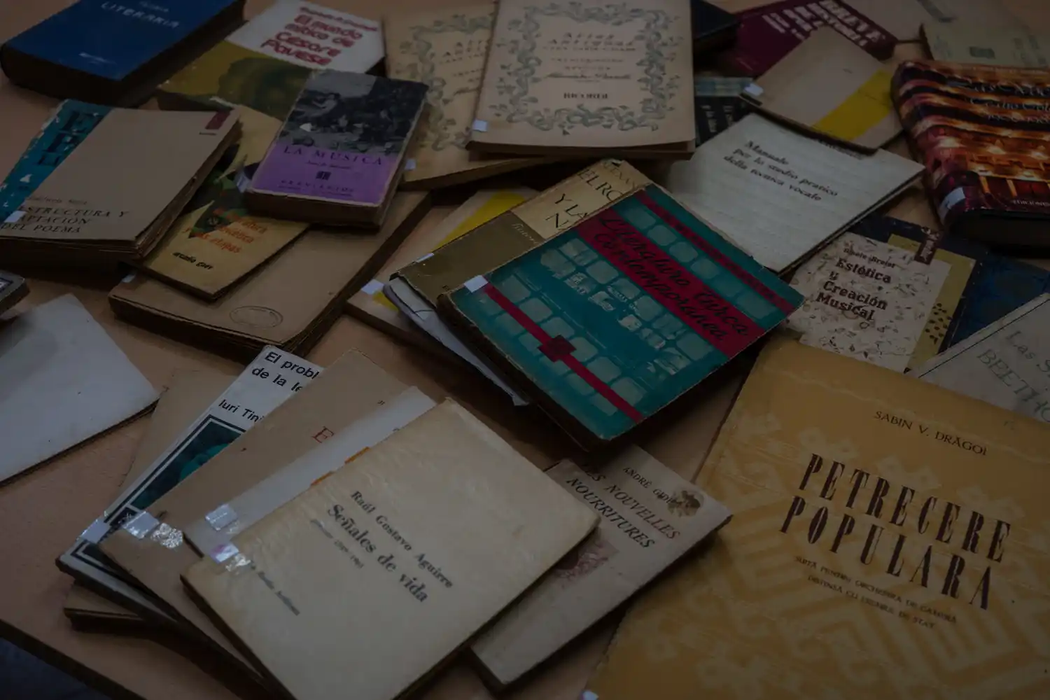 biblioteca personal de Juan Laurentino Ortiz