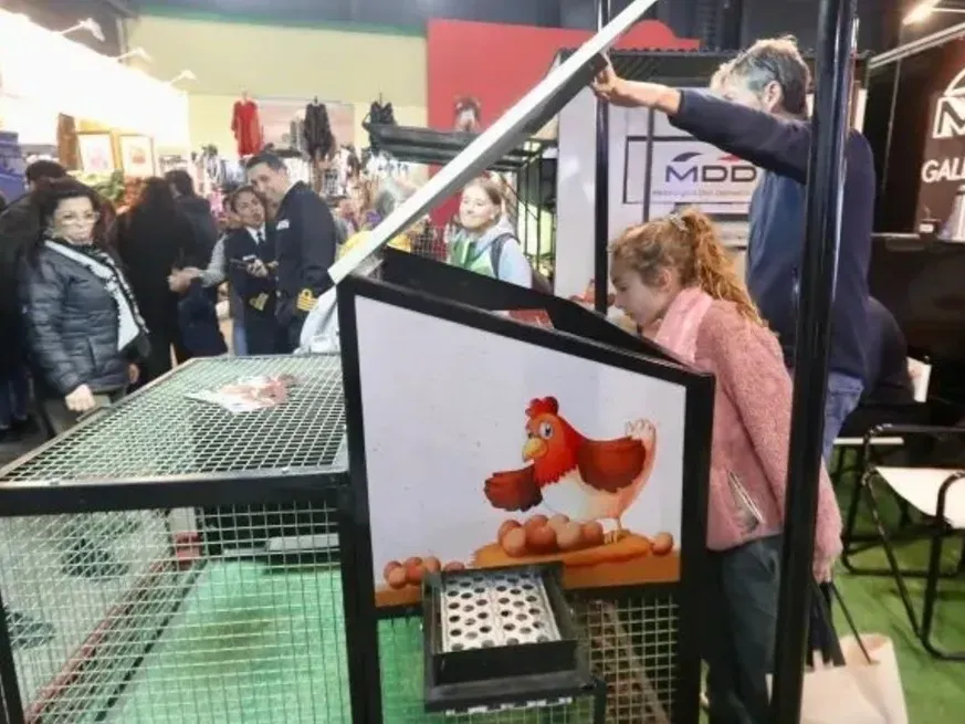 Se trata de un gallinero móvil, la solución ideal para quienes desean criar gallinas en casa y disfrutar de huevos frescos.