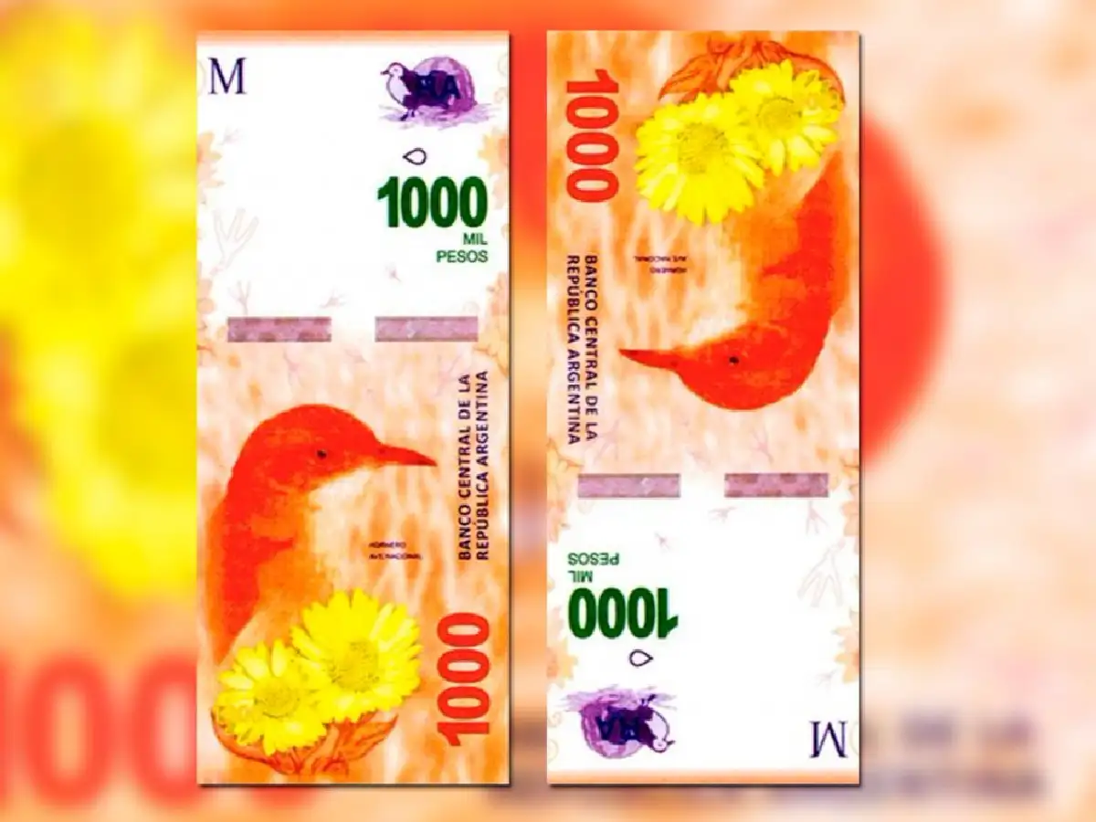 La Anses difundió medidas de seguridad para evitar fraudes con los billetes de mil pesos