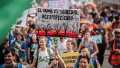 Greenpeace: Los humedales tienen la mejor oportunidad en años de ser protegidos
