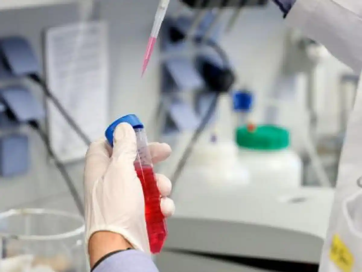 Aseguran que China guarda un virus similar al Covid-19 desde 2012
