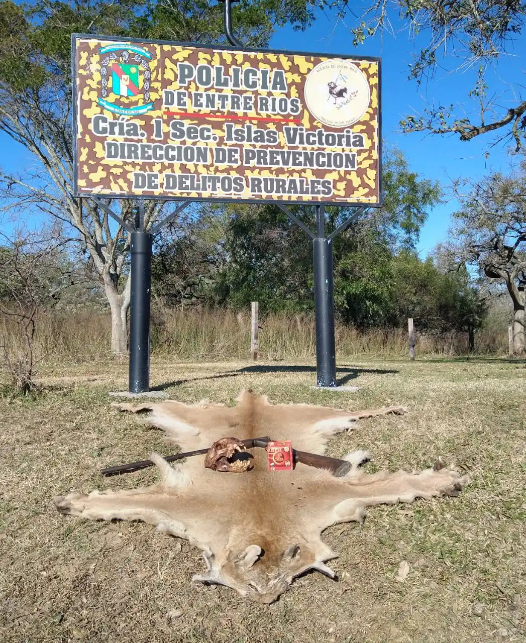 La policía realizó allanamientos al conocerse un video en el que puesteros mataron a palazos un puma