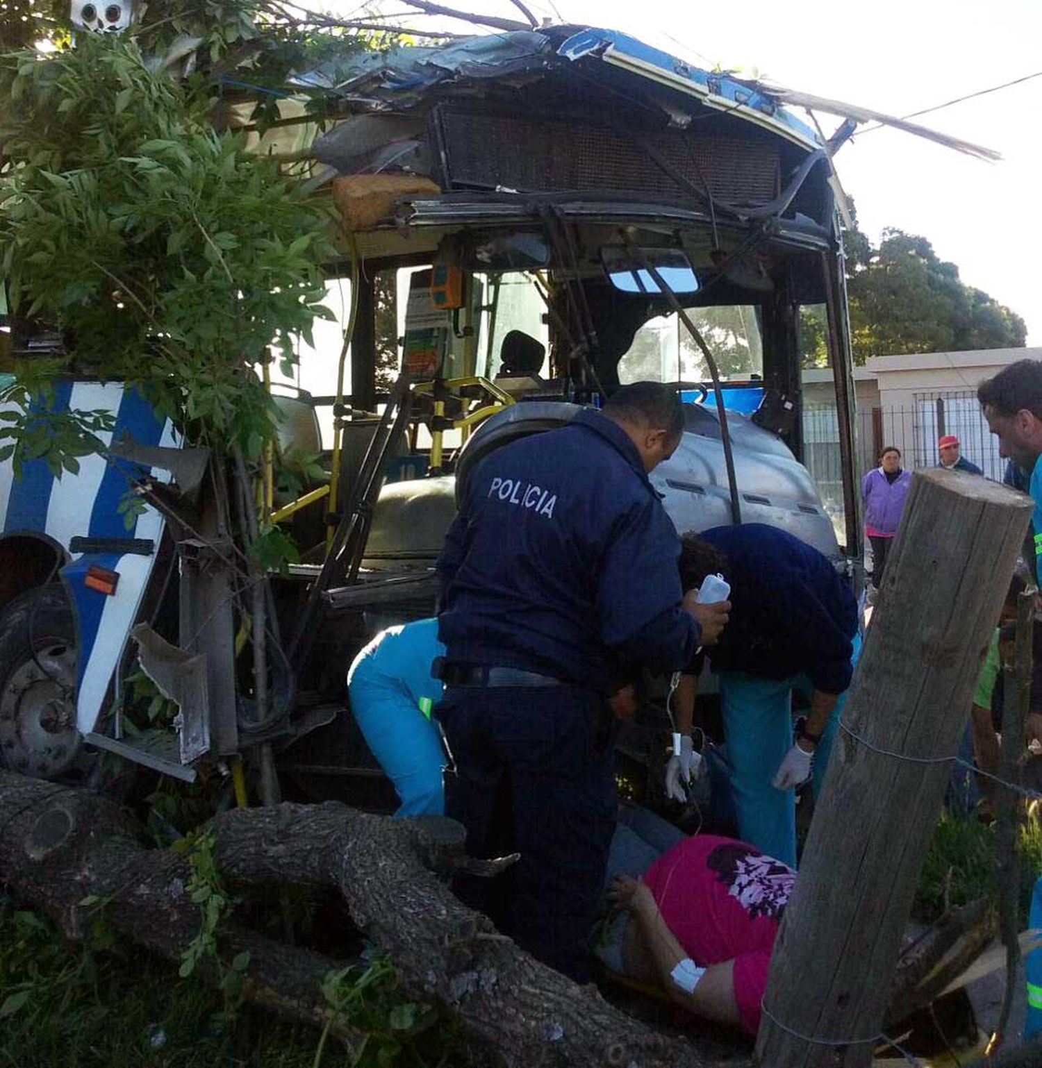 colectivo-3