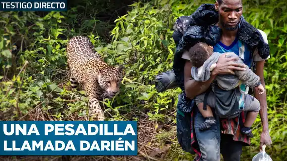 Así niños cruzan el Tapón del Darién: nunca creerás lo que enfrentan en la selva – Testigo Directo