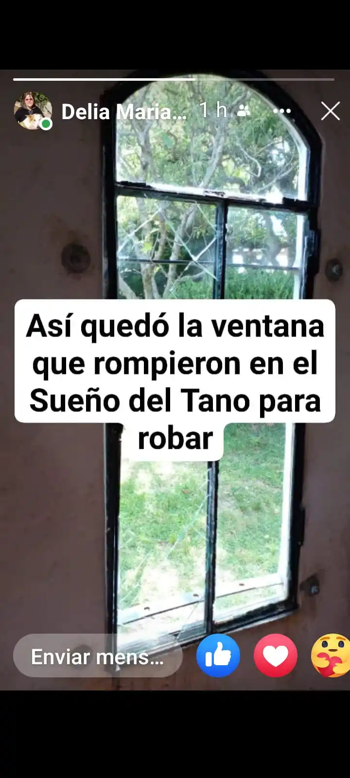 robo sueño del tano