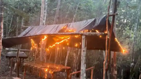 Desmantelan ocho campamentos y dos laboratorios de irregulares en Zulia