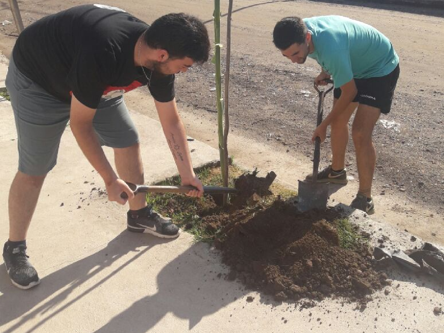 Jóvenes PRO lanzaron campaña de forestación 