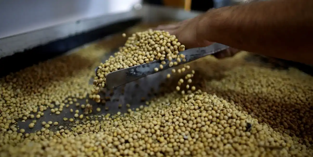 Imagen ilustrativa. Crédito: Agustín Marcarían/Reuters