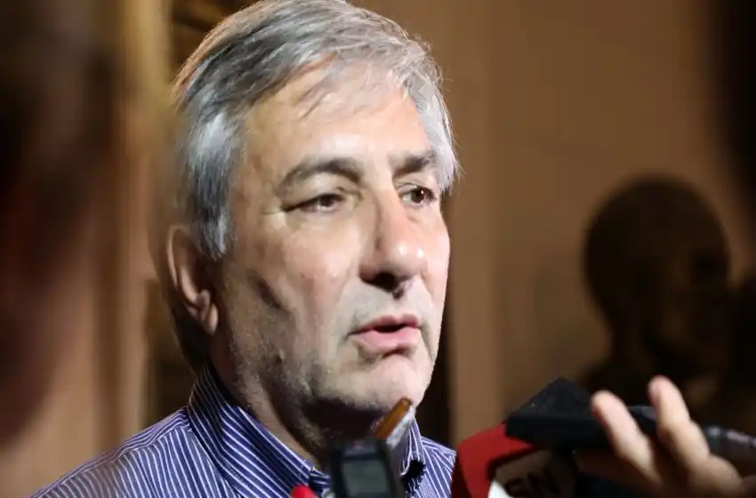 Michlig: “La situación del Estado es extrema, hay dificultades muy serias”