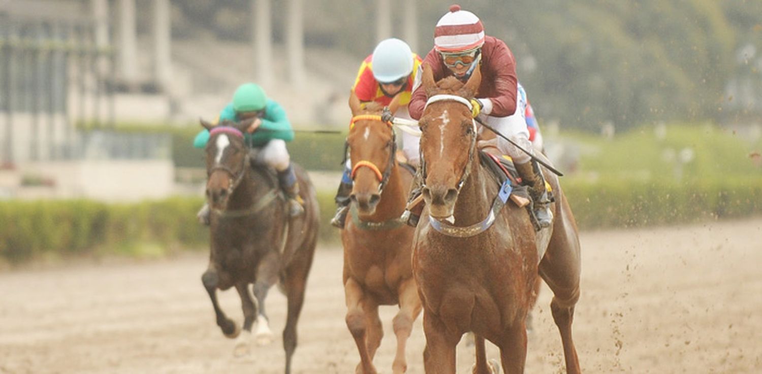 Viernes 6: Actividad Hipódromo de Palermo