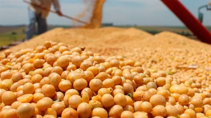 El campo busca exportar  soja y granos por  u$s 28.000 millones este año