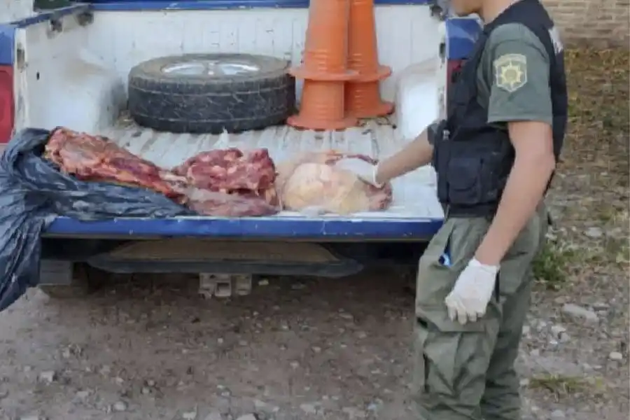 Los Pumas secuestraron una gran cantidad de carne, sucedió en Ceres