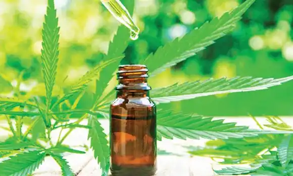 La Corte avaló el control  estatal de medicamentos  derivados del cannabis