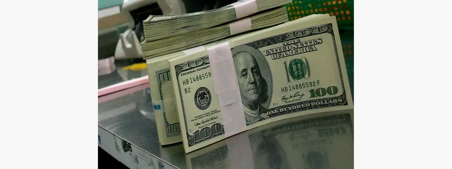 El dólar subió a $21.52 y llegó a su máximo histórico