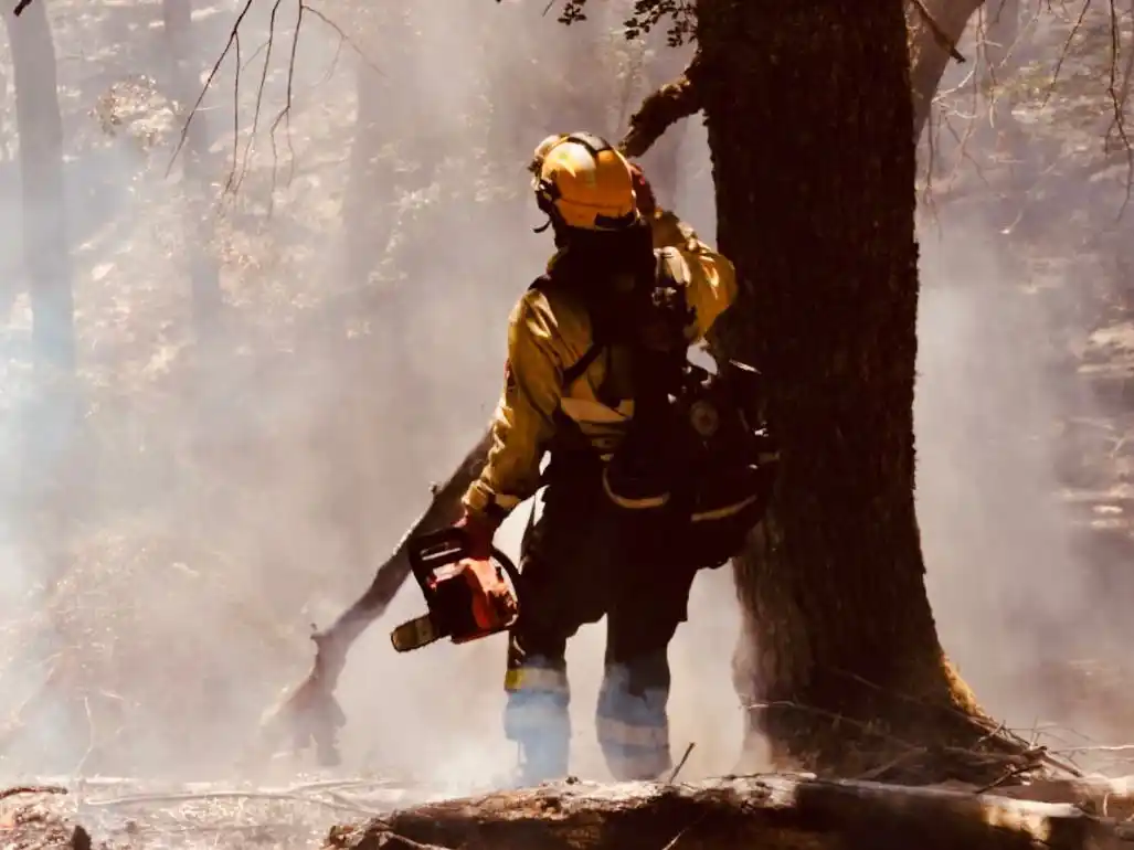 El contingente fue destinado específicamente a Cholila, en el departamento Cushamen.