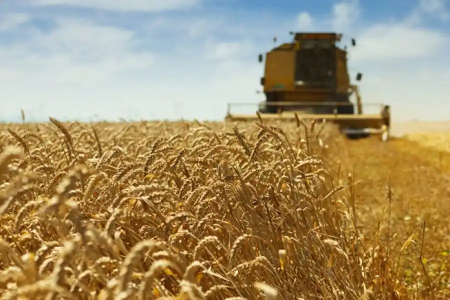 Las exportaciones agroindustriales de primer semestre fueron las más altas de la historia