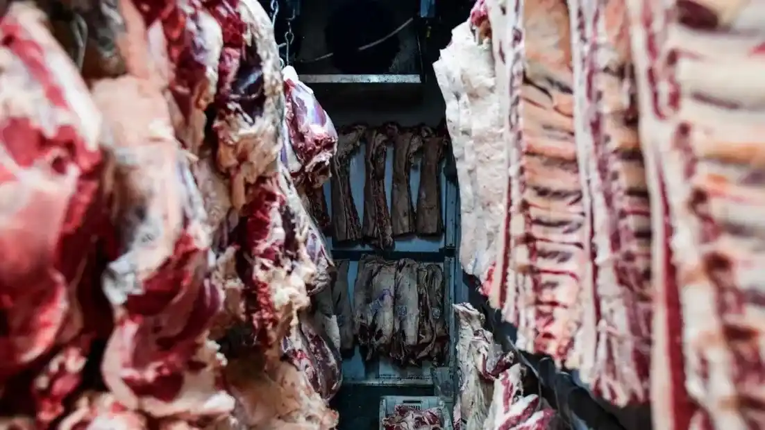 El USDA ordenó el retiro de 13.600 kilos de carne argentina del mercado.
