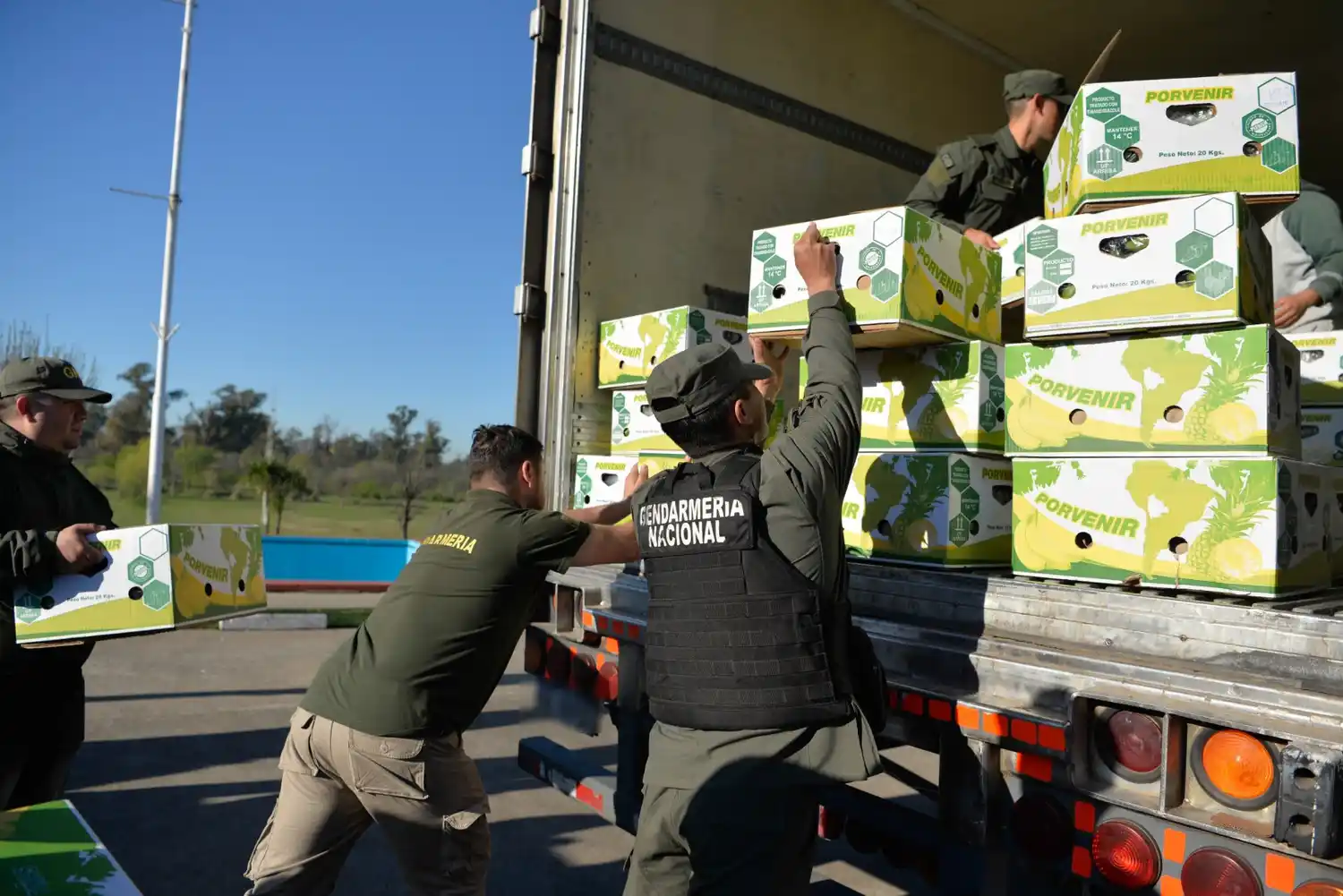 Cocaína camuflada en bananas
