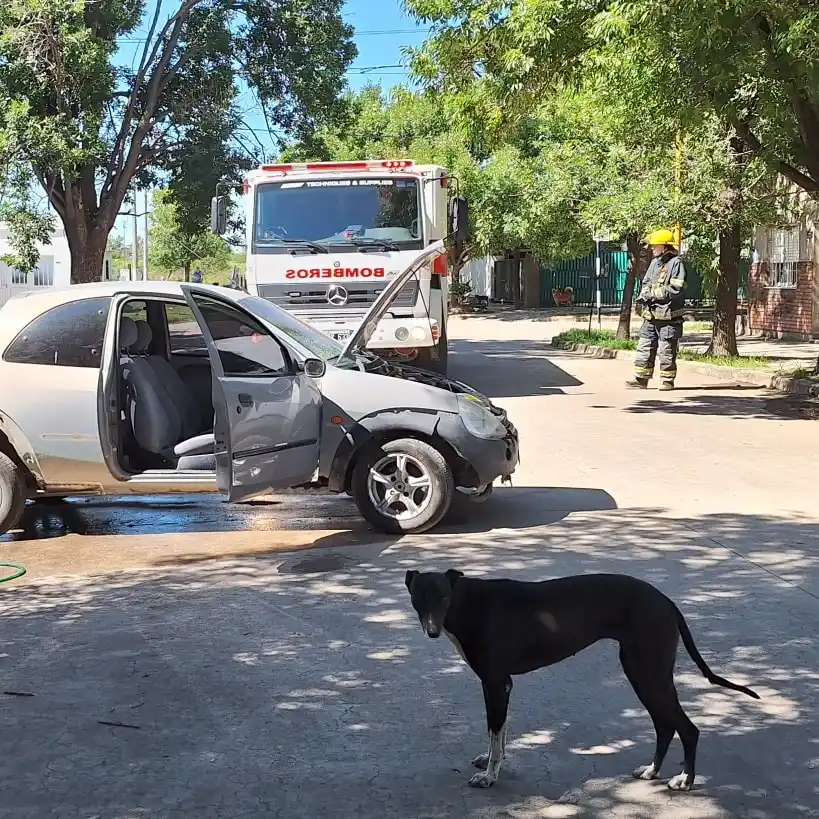 No hubo lesionados en el incendio