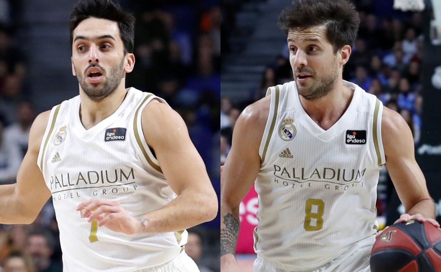 Campazzo, Laprovittola y Deck retomarán el lunes los entrenamientos en el Real Madrid