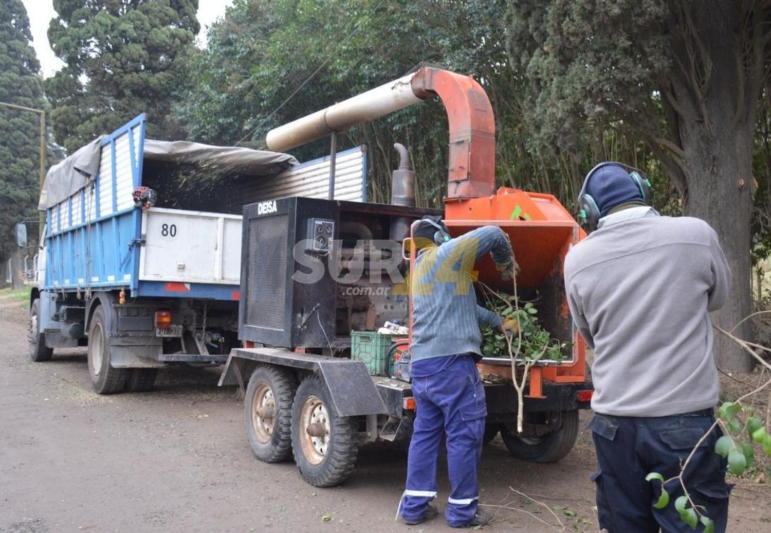 El gobierno municipal encara la etapa final de la poda de invierno 